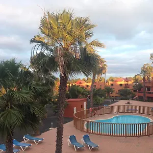 Oasis Royal , Corralejo España